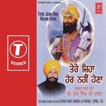 Tere Jeha Hor Nahin Hona (Vol. 5) - Dadhi Jatha Gyani Sant Singh Paras Song Download